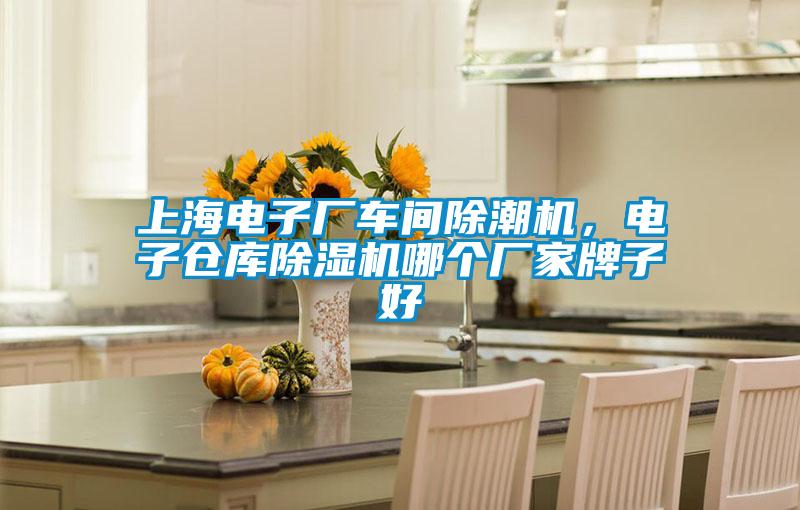 上海電子廠車間除潮機(jī)，電子倉(cāng)庫(kù)除濕機(jī)哪個(gè)廠家牌子好