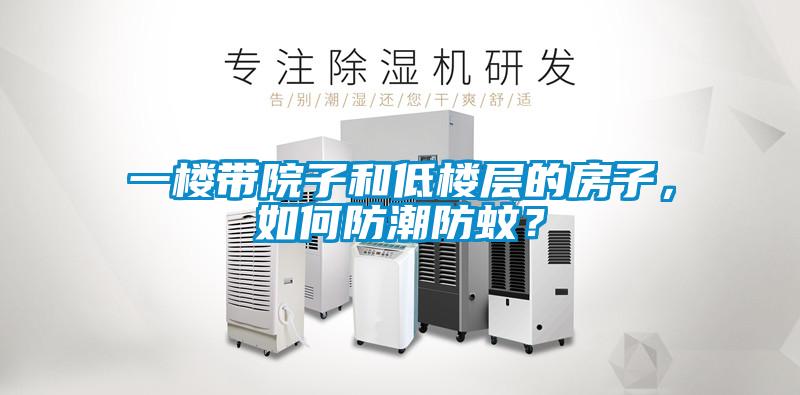 一樓帶院子和低樓層的房子，如何防潮防蚊？