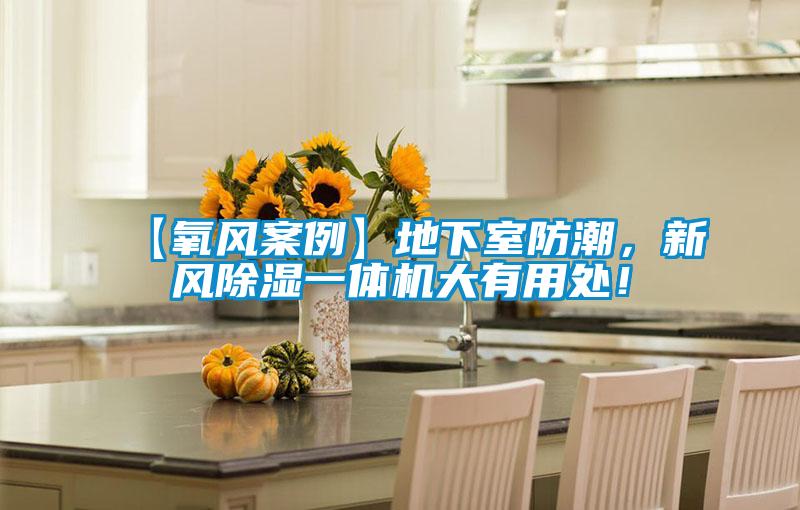 【氧風案例】地下室防潮，新風除濕一體機大有用處！