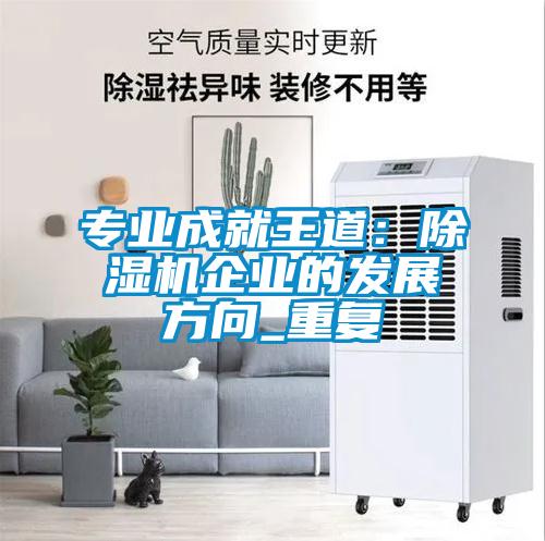 專(zhuān)業(yè)成就王道：除濕機(jī)企業(yè)的發(fā)展方向_重復(fù)