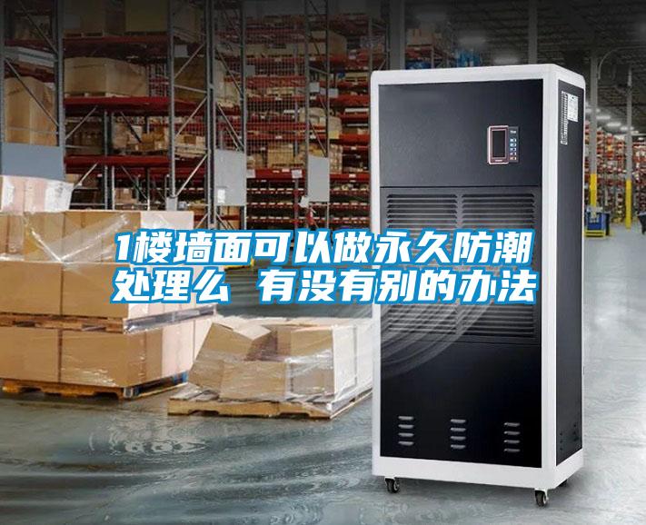 1樓墻面可以做永久防潮處理么 有沒(méi)有別的辦法