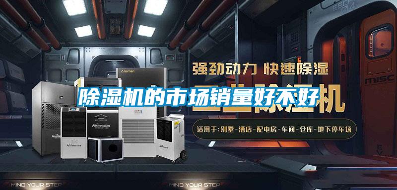 除濕機(jī)的市場(chǎng)銷量好不好