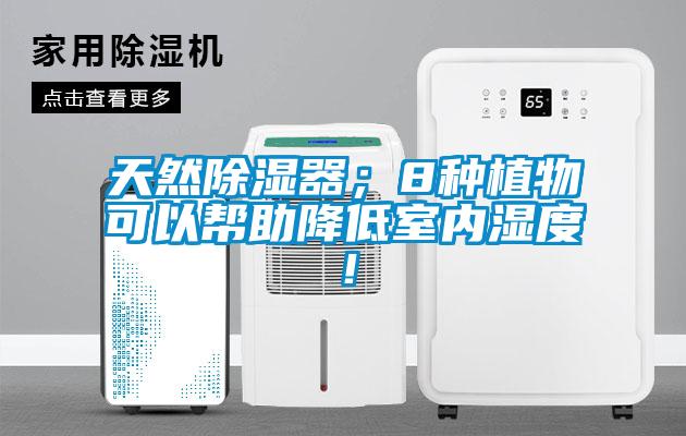 天然除濕器；8種植物可以幫助降低室內(nèi)濕度！