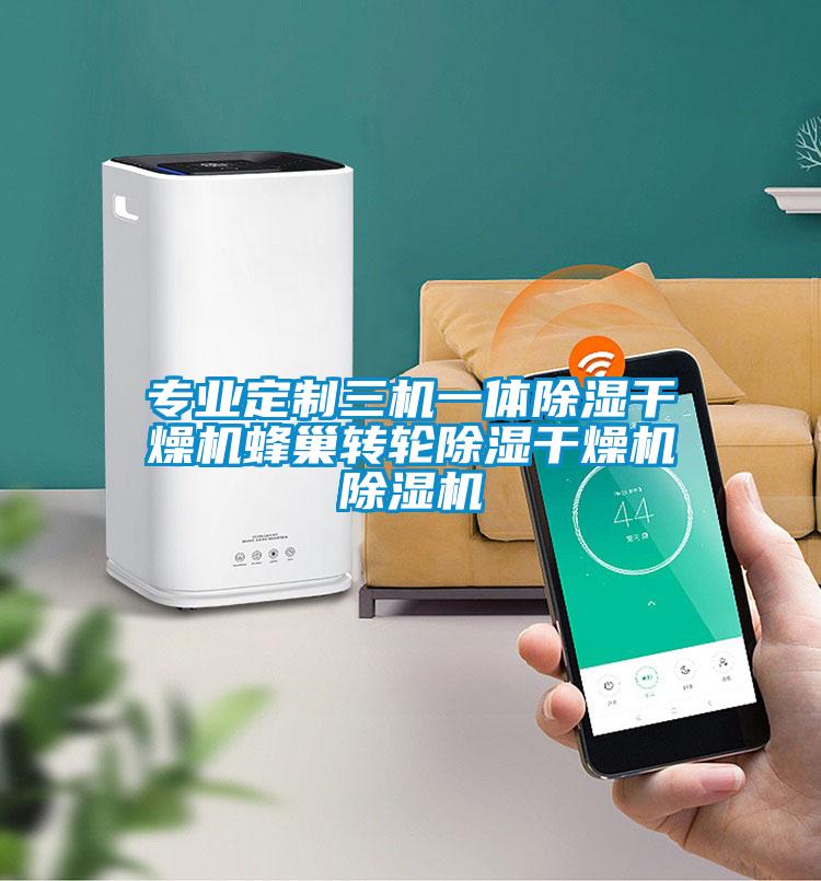 專業(yè)定制三機(jī)一體除濕干燥機(jī)蜂巢轉(zhuǎn)輪除濕干燥機(jī)除濕機(jī)
