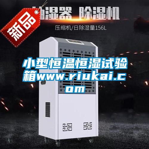 小型恒溫恒濕試驗(yàn)箱www.riukai.com