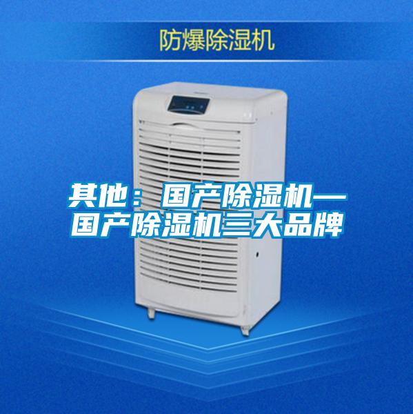 其他：國產(chǎn)除濕機(jī)—國產(chǎn)除濕機(jī)三大品牌