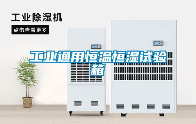 工業(yè)通用恒溫恒濕試驗(yàn)箱
