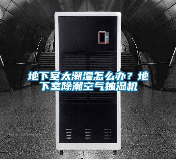 地下室太潮濕怎么辦？地下室除潮空氣抽濕機(jī)