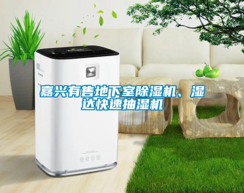 嘉興有售地下室除濕機(jī)、濕達(dá)快速抽濕機(jī)