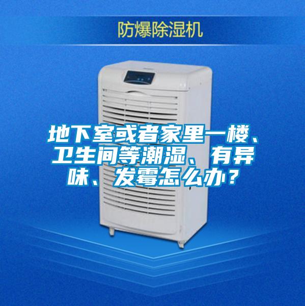 地下室或者家里一樓、衛(wèi)生間等潮濕、有異味、發(fā)霉怎么辦？