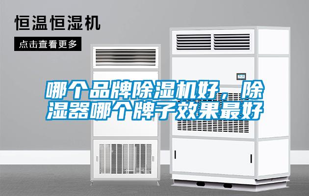 哪個(gè)品牌除濕機(jī)好，除濕器哪個(gè)牌子效果最好