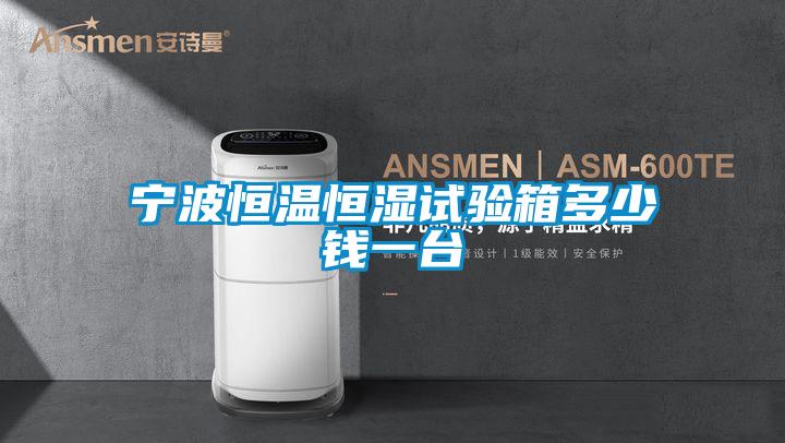 寧波恒溫恒濕試驗(yàn)箱多少錢一臺