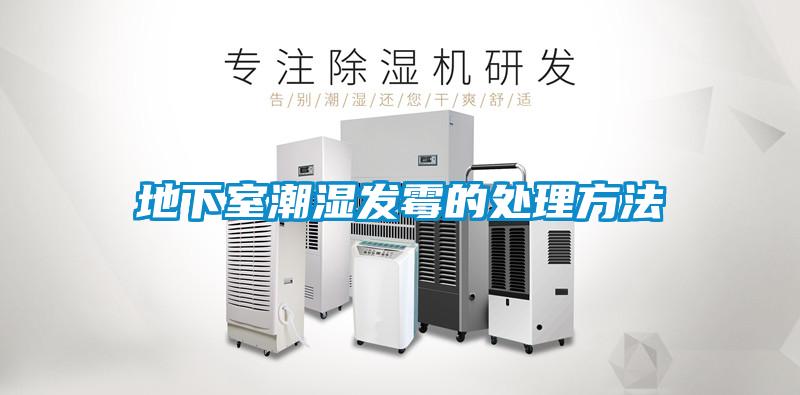 地下室潮濕發(fā)霉的處理方法