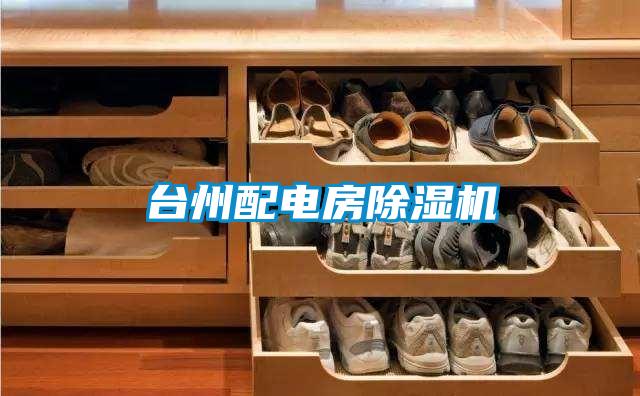 臺州配電房除濕機(jī)
