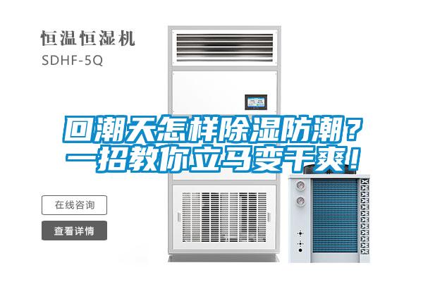 回潮天怎樣除濕防潮？一招教你立馬變干爽！
