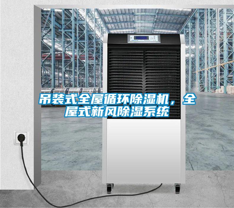 吊裝式全屋循環(huán)除濕機，全屋式新風(fēng)除濕系統(tǒng)