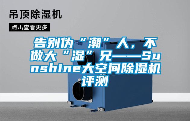 告別偽“潮”人，不做大“濕”兄——Sunshine大空間除濕機(jī)評(píng)測(cè)