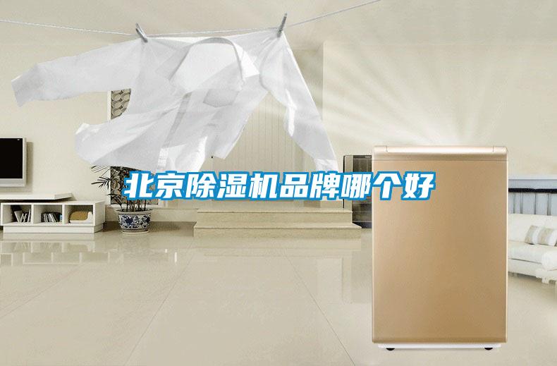 北京除濕機(jī)品牌哪個(gè)好