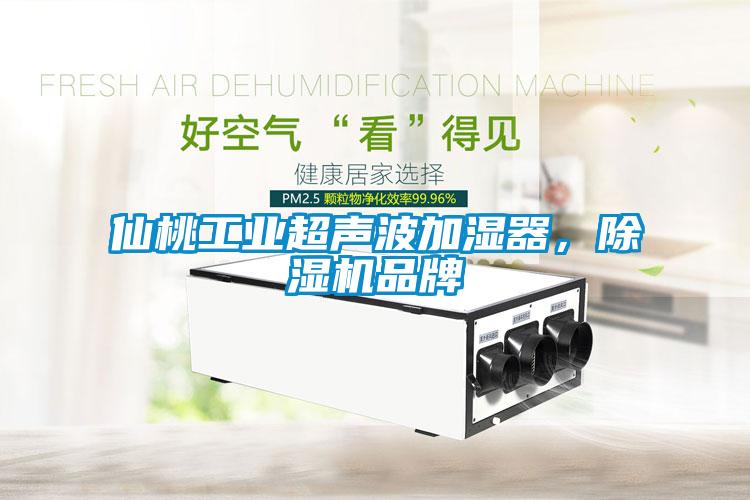 仙桃工業(yè)超聲波加濕器，除濕機(jī)品牌