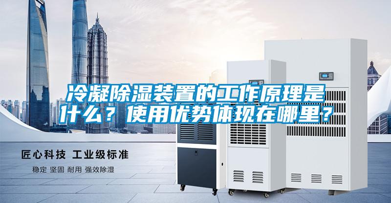 冷凝除濕裝置的工作原理是什么？使用優(yōu)勢體現(xiàn)在哪里？