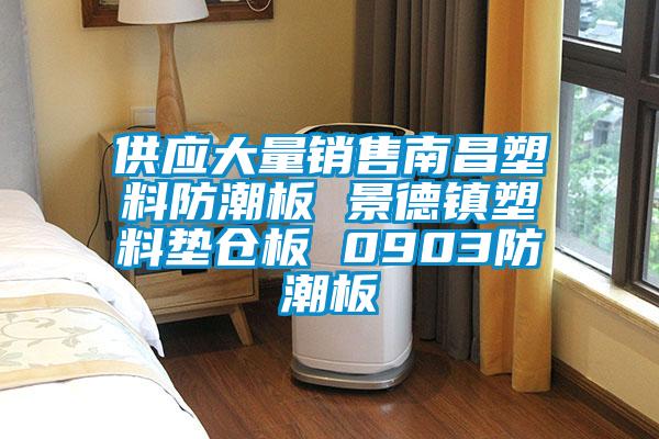 供應大量銷售南昌塑料防潮板 景德鎮(zhèn)塑料墊倉板 0903防潮板