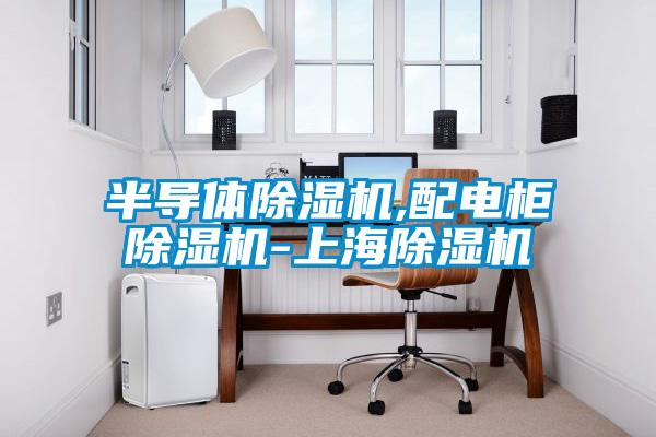 半導(dǎo)體除濕機(jī),配電柜除濕機(jī)-上海除濕機(jī)