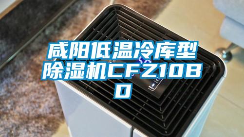 咸陽低溫冷庫型除濕機(jī)CFZ10BD