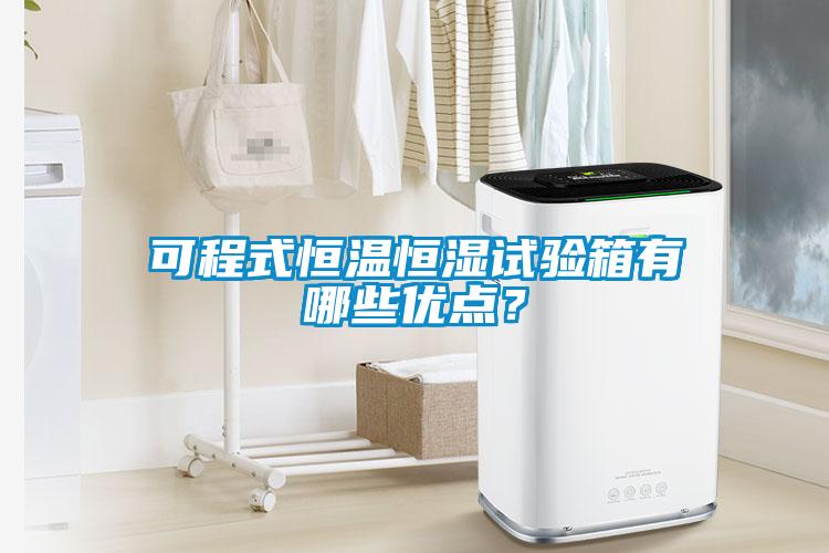 可程式恒溫恒濕試驗箱有哪些優(yōu)點？