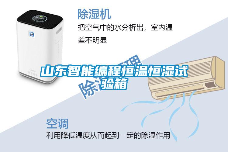 山東智能編程恒溫恒濕試驗箱