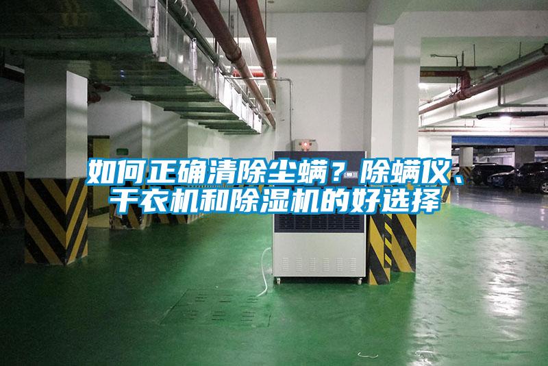 如何正確清除塵螨？除螨儀、干衣機和除濕機的好選擇