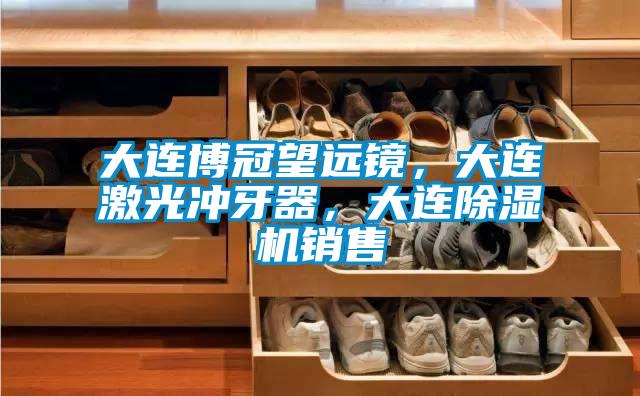 大連博冠望遠(yuǎn)鏡，大連激光沖牙器，大連除濕機銷售