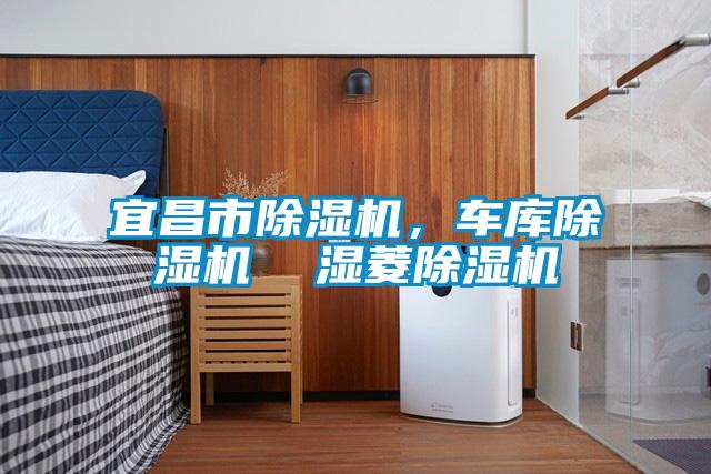 宜昌市除濕機(jī)，車庫除濕機(jī)  濕菱除濕機(jī)