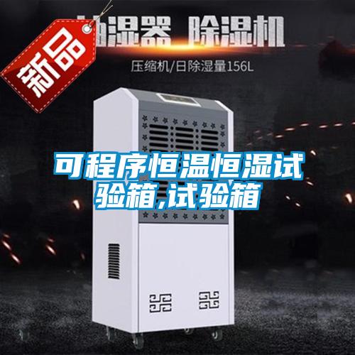 可程序恒溫恒濕試驗(yàn)箱,試驗(yàn)箱