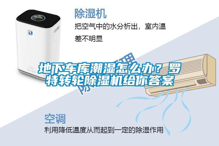 地下車(chē)庫(kù)潮濕怎么辦？羅特轉(zhuǎn)輪除濕機(jī)給你答案