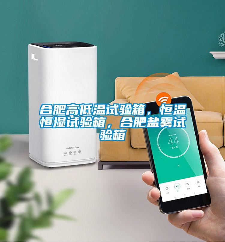 合肥高低溫試驗(yàn)箱，恒溫恒濕試驗(yàn)箱，合肥鹽霧試驗(yàn)箱