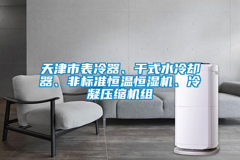 天津市表冷器、干式水冷卻器、非標準恒溫恒濕機、冷凝壓縮機組