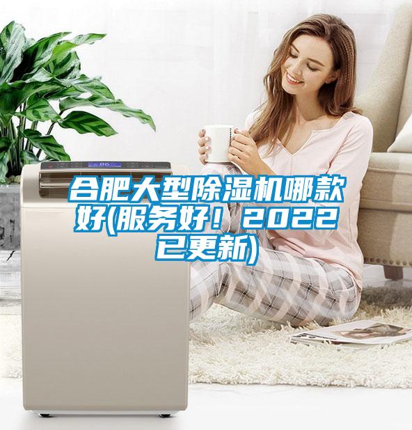 合肥大型除濕機(jī)哪款好(服務(wù)好！2022已更新)
