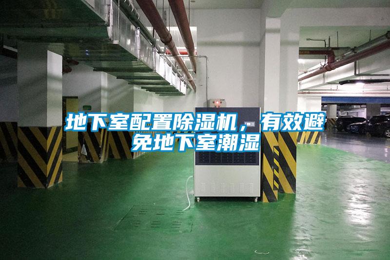 地下室配置除濕機，有效避免地下室潮濕