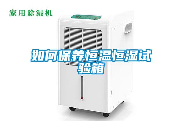 如何保養(yǎng)恒溫恒濕試驗箱