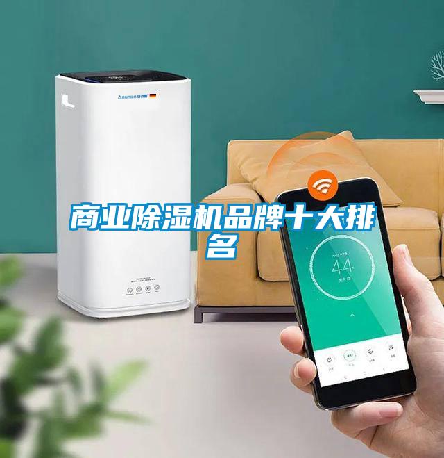 商業(yè)除濕機品牌十大排名