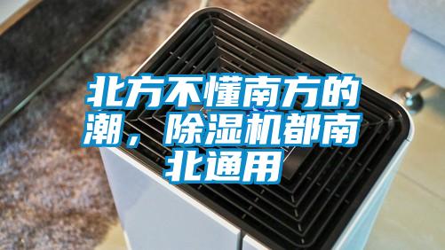 北方不懂南方的潮，除濕機都南北通用
