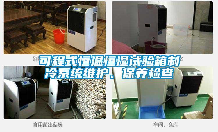 可程式恒溫恒濕試驗(yàn)箱制冷系統(tǒng)維護(hù)、保養(yǎng)檢查