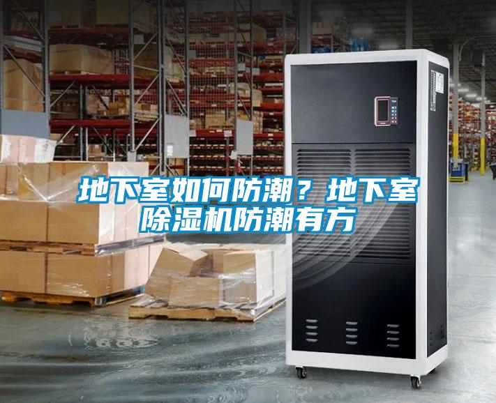 地下室如何防潮？地下室除濕機防潮有方