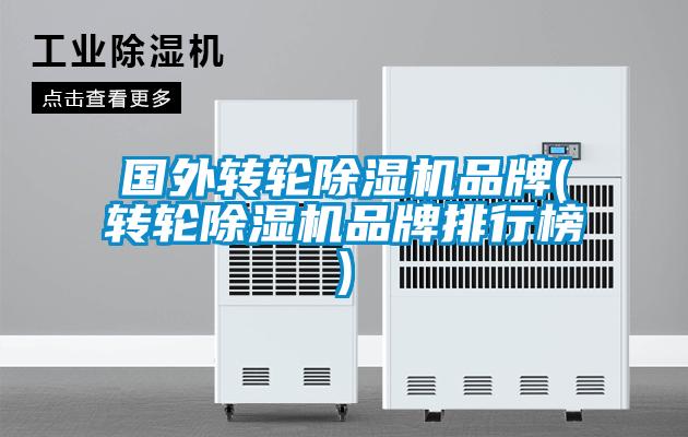 國(guó)外轉(zhuǎn)輪除濕機(jī)品牌(轉(zhuǎn)輪除濕機(jī)品牌排行榜)