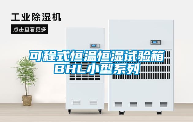 可程式恒溫恒濕試驗(yàn)箱BHL小型系列