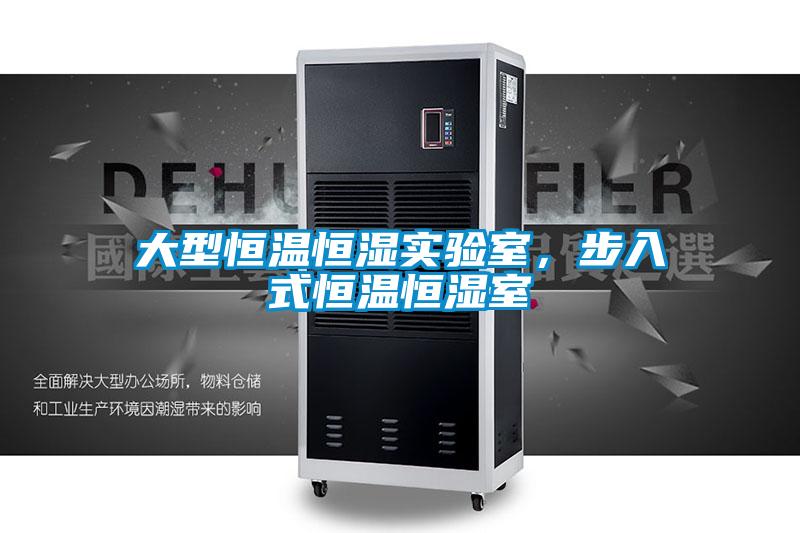 大型恒溫恒濕實(shí)驗(yàn)室，步入式恒溫恒濕室