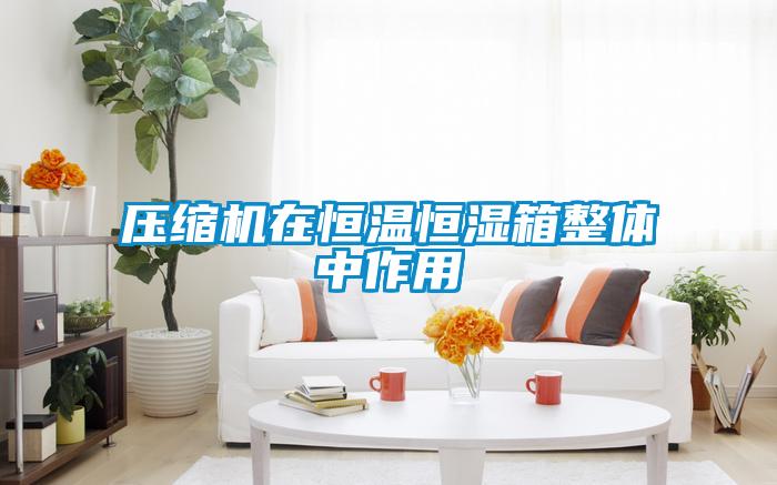 壓縮機(jī)在恒溫恒濕箱整體中作用