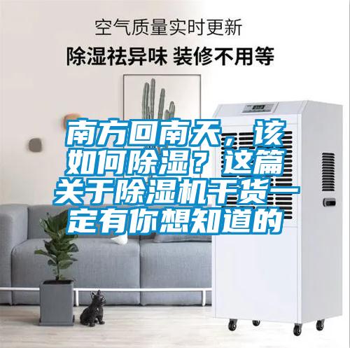 南方回南天，該如何除濕？這篇關(guān)于除濕機(jī)干貨一定有你想知道的