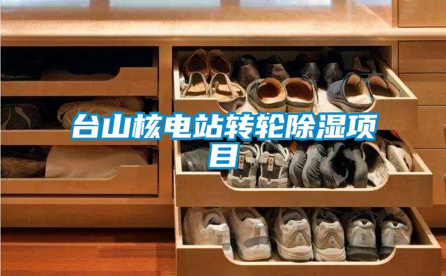 臺(tái)山核電站轉(zhuǎn)輪除濕項(xiàng)目