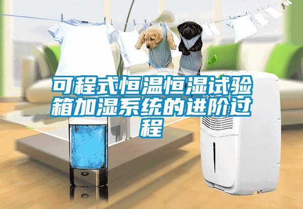 可程式恒溫恒濕試驗(yàn)箱加濕系統(tǒng)的進(jìn)階過程